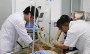 Người phụ nữ Yên Bái mắc hội chứng vùi lấp